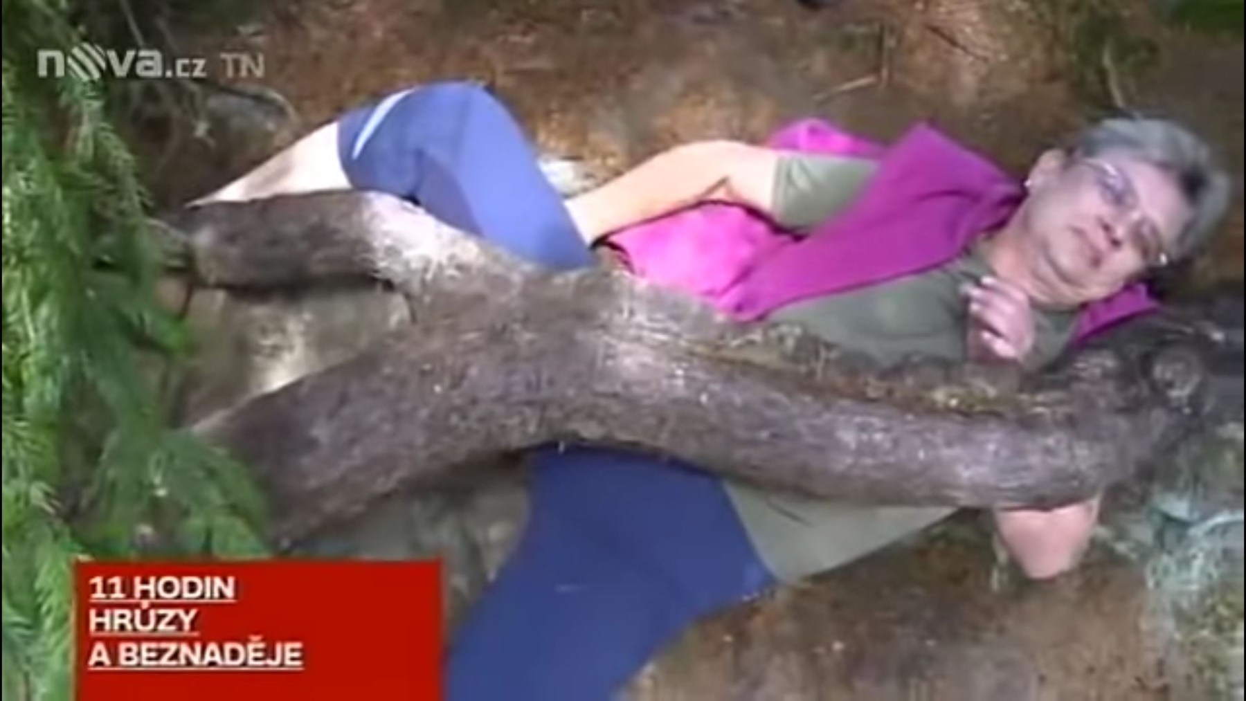 Lesní správa téměř po deseti letech odstranila nebezpečný kořen