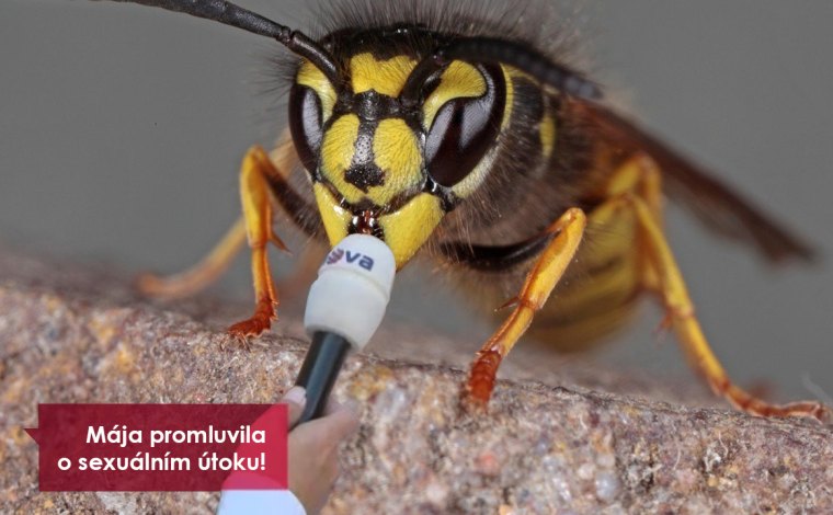 #MEETO: Vosa po letech promluvila! Lenka Karlíková mě plácla přes zadek!