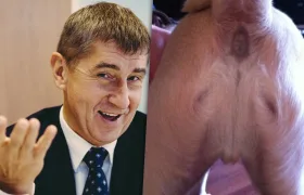 Nevinnost Andreje Babiše potvrdil Bůh. Ježíš se zjevil na zadku Andyho čokla!