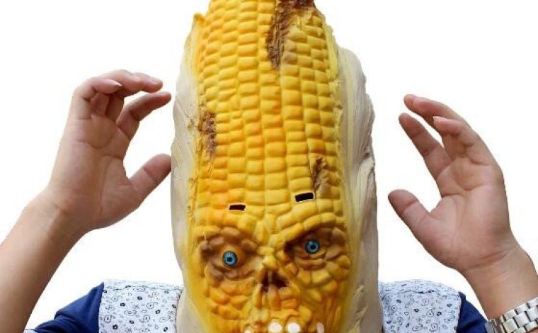 GMO zelenina znovu zabíjela!!! Amerického farmáře rozdrtil tunový kukuřičný klas!