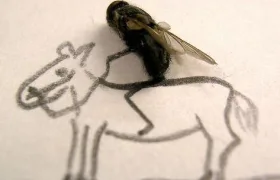 Pražská výstava Muchy se těší nebývalé pozornosti. Láká na nově objevené obrazy!