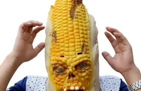 GMO zelenina znovu zabíjela!!! Amerického farmáře rozdrtil tunový kukuřičný klas!