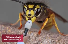 #MEETO: Vosa po letech promluvila! Lenka Karlíková mě plácla přes zadek!