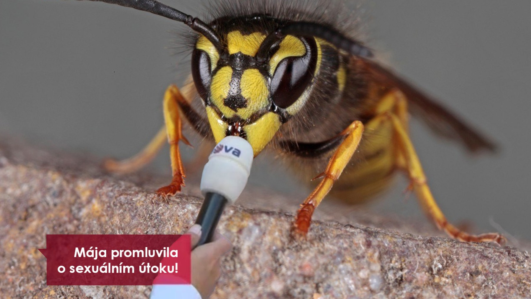 #MEETO: Vosa po letech promluvila! Lenka Karlíková mě plácla přes zadek!