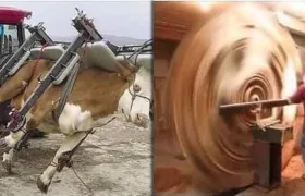 Opravdu za to tvůj mléčný shake stojí, ptají se Attention Whorebellion