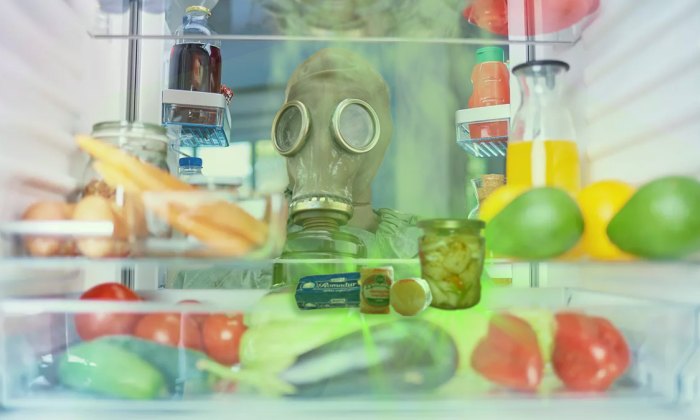 Ruská armáda na Ukrajině konečně našla biologické zbraně. Lednice ukrývala olomoucké tvarůžky