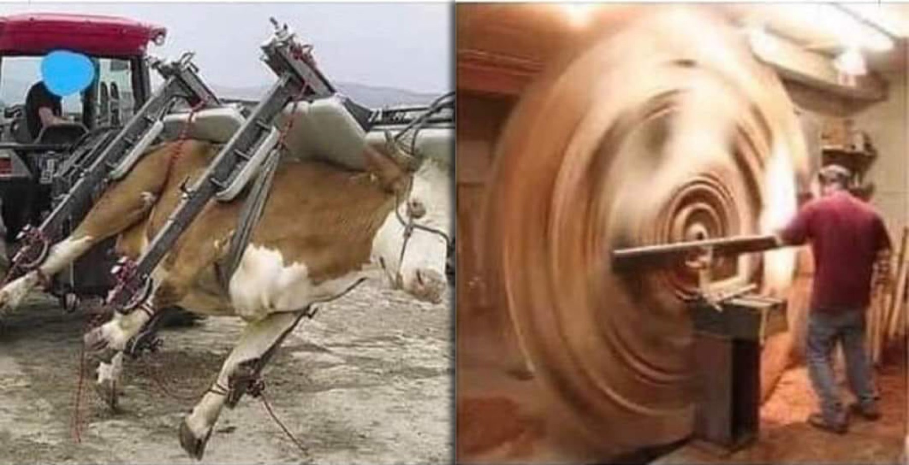 Opravdu za to tvůj mléčný shake stojí, ptají se Attention Whorebellion