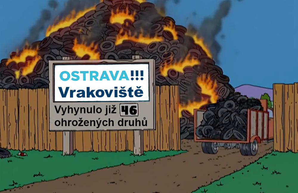 Požár vrakoviště má mezinárodní přesah. Škodliviny vypuštěné z hořící hromady mají na svědomí celé kolonie mořských koníků, pštrosů a surikat.