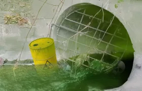 Žádné rybe v Běčvě nebyly, hájí se Babiš. Už jste viděli plavat rybe v kyselině?